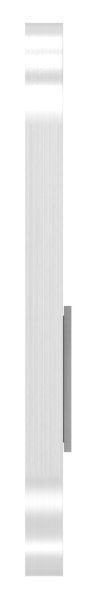 Kurzschild Edelstahl V2A 32 x 87 x 6 mm gerundet geschliffen Korn 240-88-1115099.240