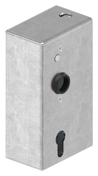 Kastenschloss Hakenschloss verzinkt roh 60 x 94 x 170 mm mit Wechsel-88-113843-S60.B