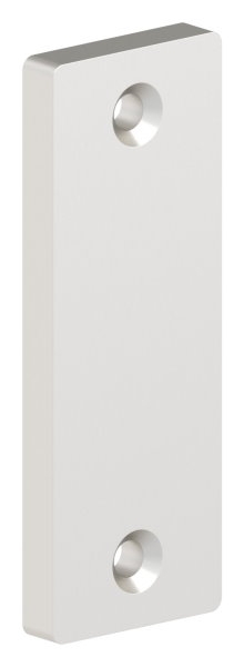 Alu-Kurzschild - Masse- 32x87x7 mm - Form- vierkant - Aluminium EV1 - AMF Artikel- 15867-12-3038.6