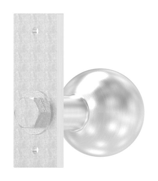 Tuerknopf- Ø 50mm- mit Kurzschild- V2A-88-1156647.240