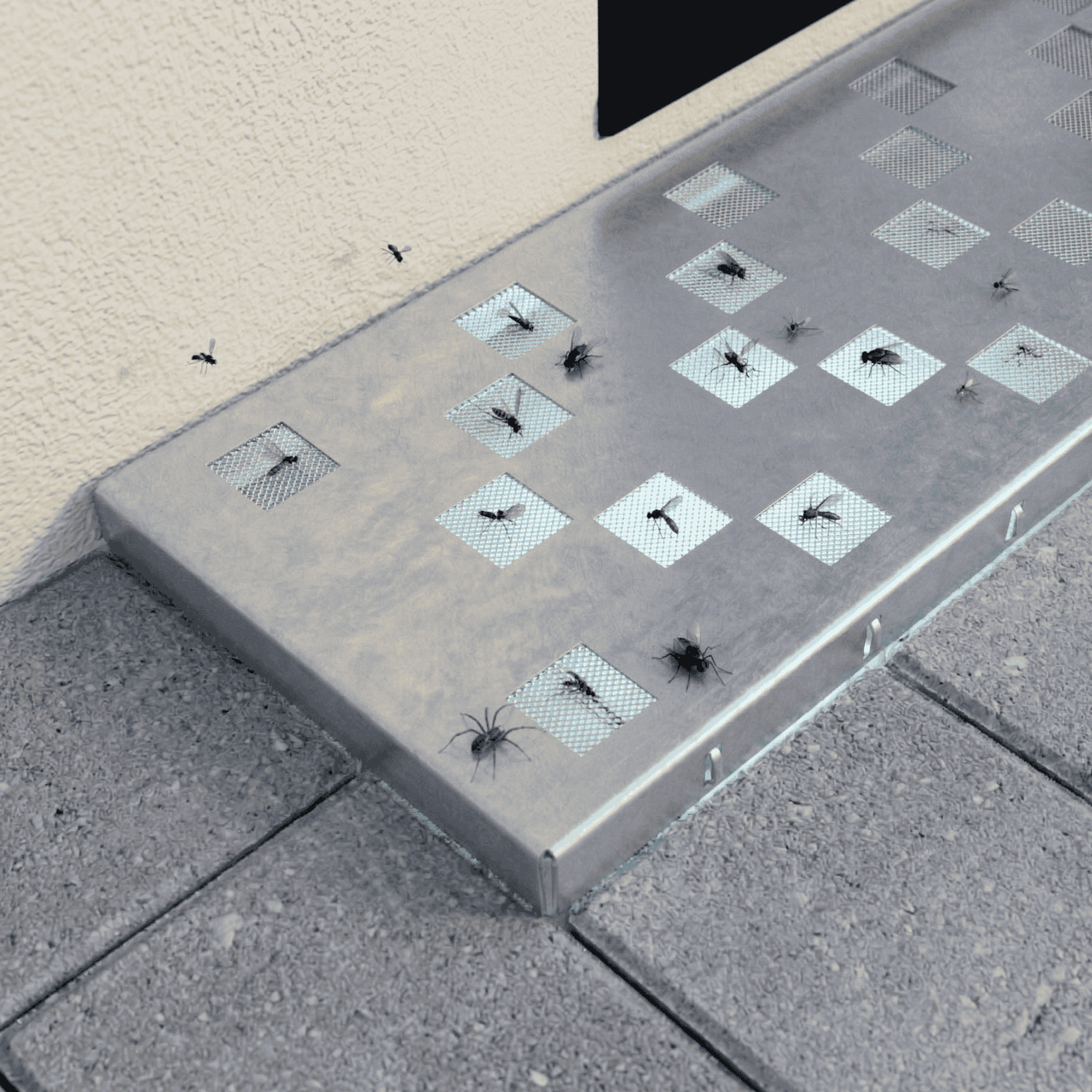 SEPGRATE Hausumrandung 1000x250- TS 25-2- verz- m- VA-Gewebe-22-SEPGRATE-10025252.8