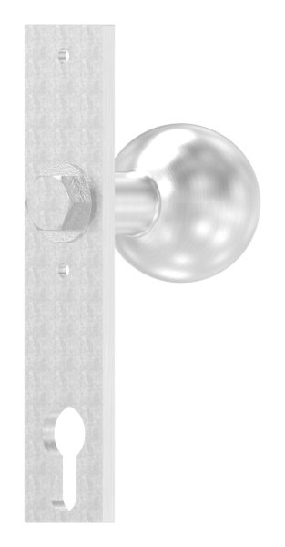 Tuerknopf- Ø 50mm- mit Langschild- V2A-88-1156646.240