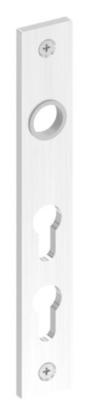 Langschild fuer zwei Profilzylinder- V2A-88-1116062.240