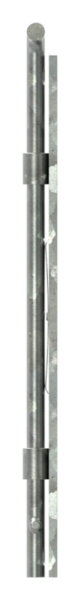 Torriegel-88-113826.R