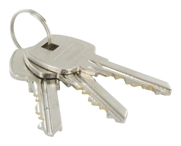 Zylinder Edelstahloptik 55 mm mit 3 Schluessel-11-3953.2